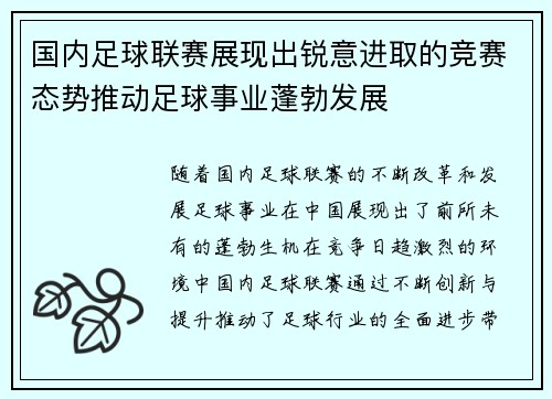 国内足球联赛展现出锐意进取的竞赛态势推动足球事业蓬勃发展